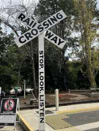 Puffing Billy train ride and Penguin Parade in Australia!