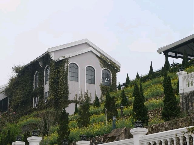 Sapa: Where Clouds Kiss the Hills