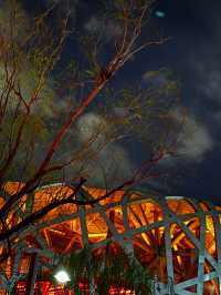 Where Architecture Becomes Art: Night Walk Between the Bird’s Nest and Water Cube
