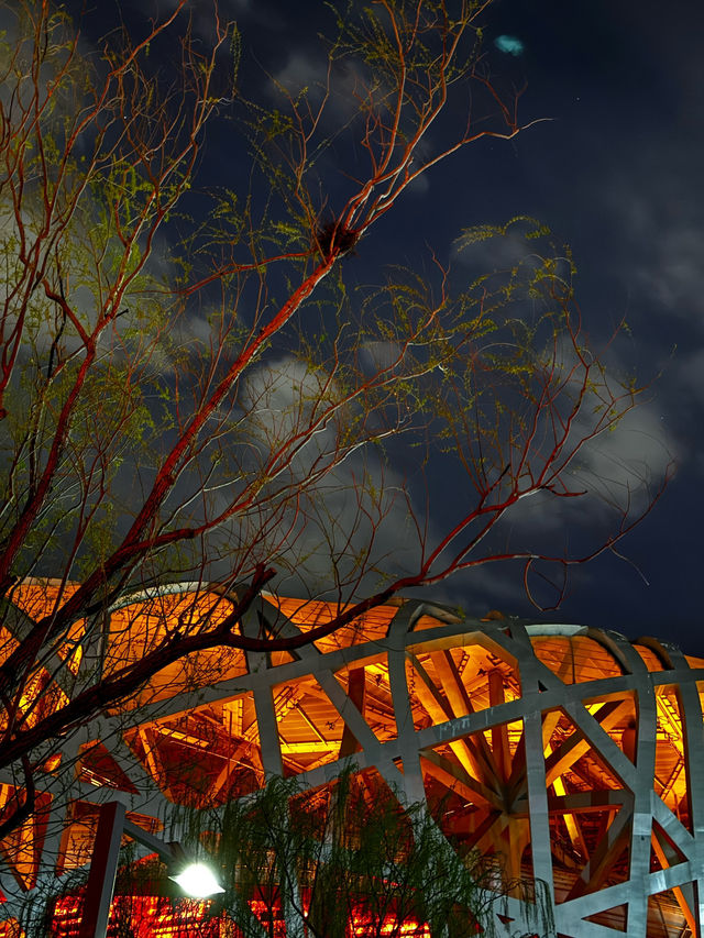 Where Architecture Becomes Art: Night Walk Between the Bird’s Nest and Water Cube