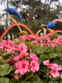 周末親子遊樂好去處——珠海海濱公園