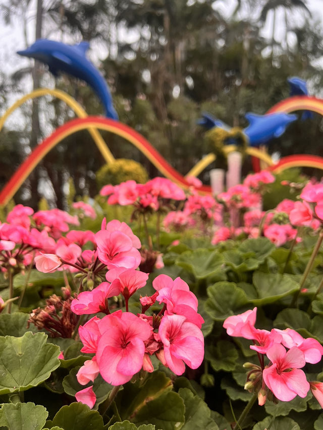 周末親子遊樂好去處——珠海海濱公園