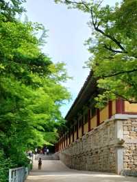 경주여행 일번지