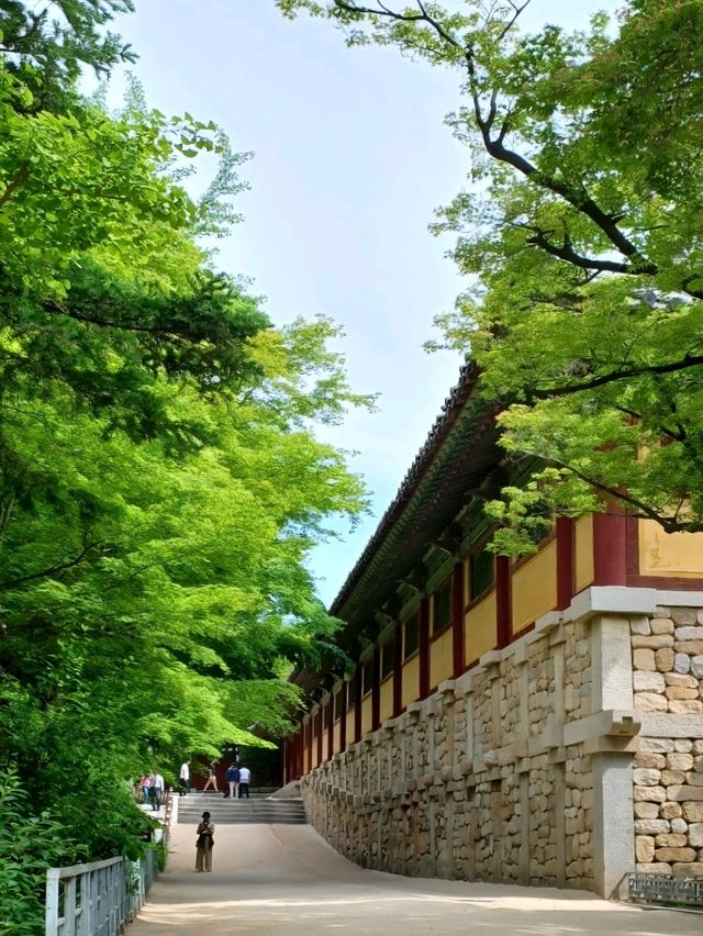 경주여행 일번지