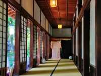 Tokyo National Museum – A Timeless Journey Through Japanese Art & History