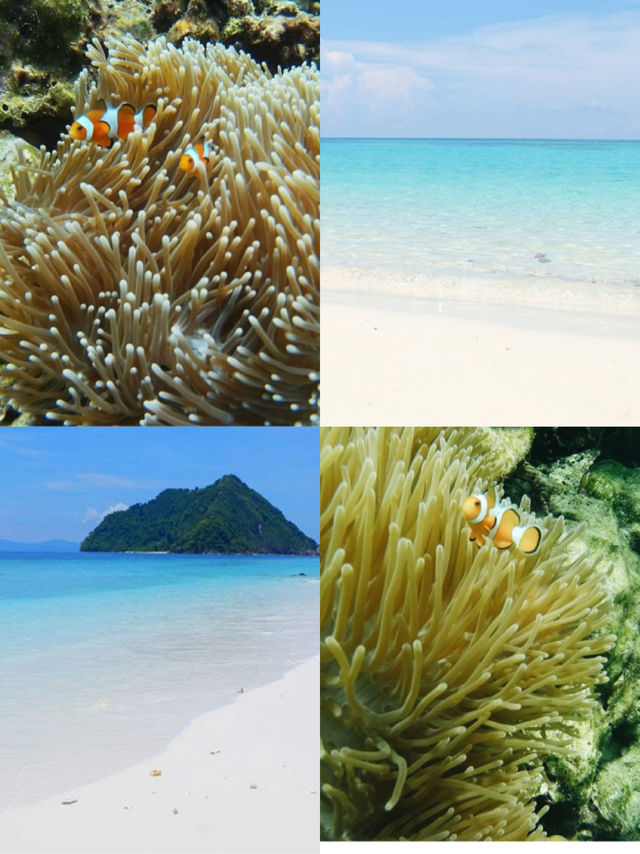入場無料でこの絶景！？シミラン、コスパ最強の楽園🌊🌞💸