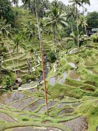 Ubud’s Dreamiest Jungle Playground at Alas Harum