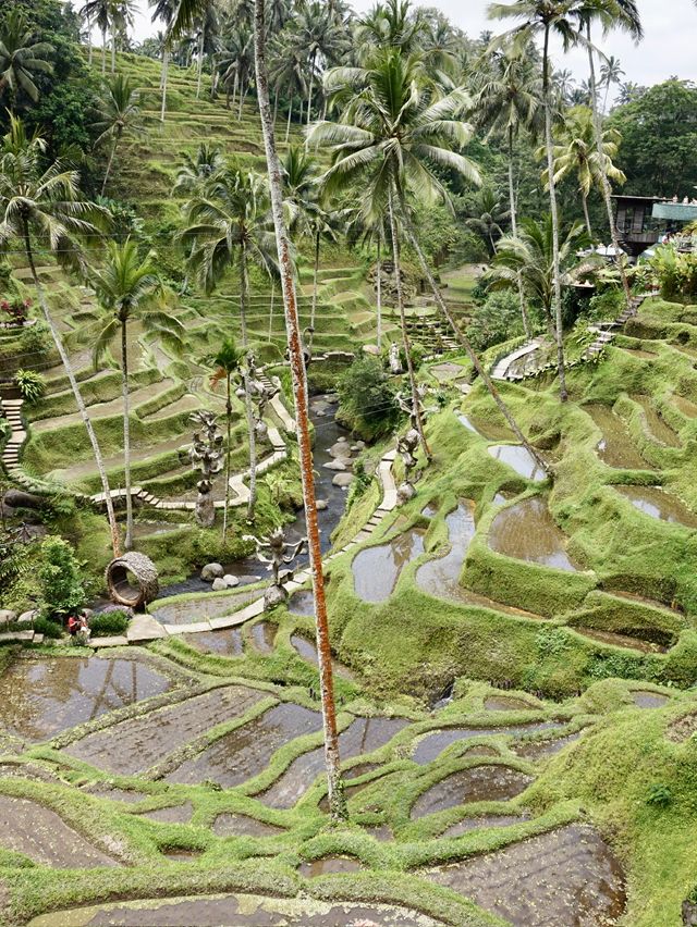 Ubud’s Dreamiest Jungle Playground at Alas Harum