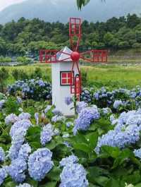 台北｜陽明山國家公園