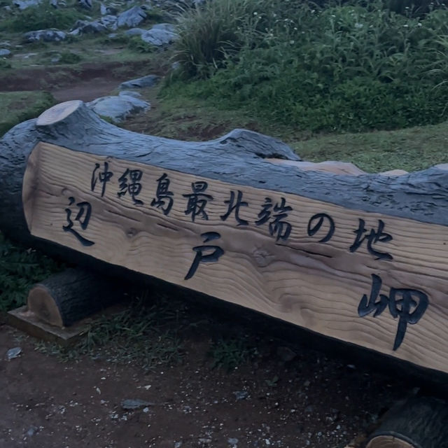 千萬不要再來沖繩自駕遊了！