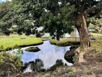 Japanese Garden Park – Hilo