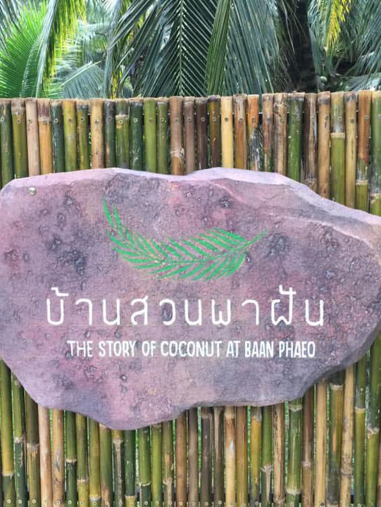 พิกัด คาเฟ่สมุทรสาคร บรรยากาศดี 