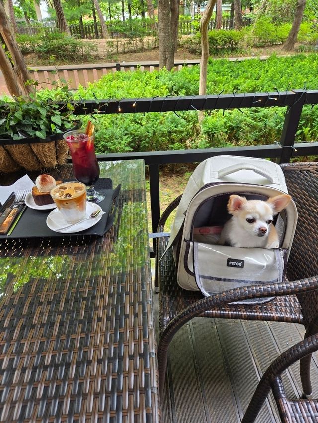 친절한 실내데이트장소 긱스커피❤️