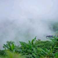 ลานกางเต็นท์บ้านสวนเอเดน