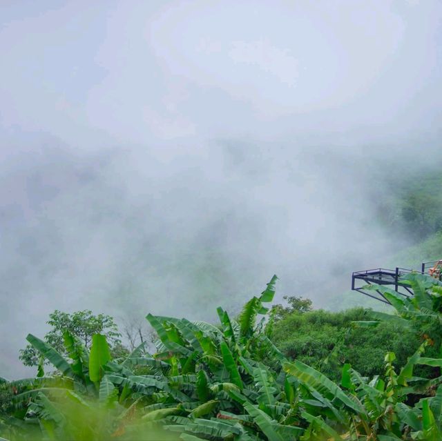 ลานกางเต็นท์บ้านสวนเอเดน