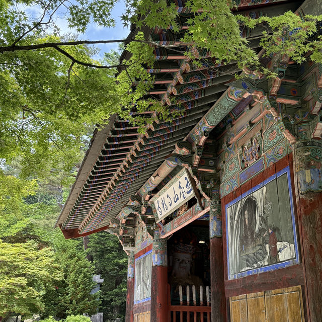 봄 숲의 향기를 느끼하면서 산책하기 좋은 이곳‼️