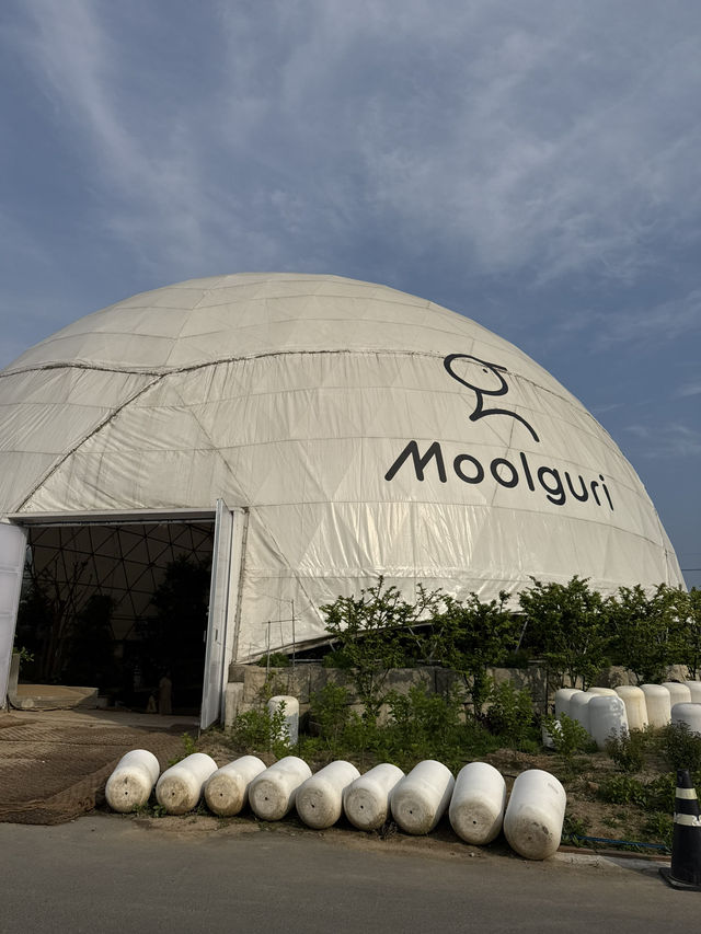 韓国/京畿道【高陽】Moolguri Cafe