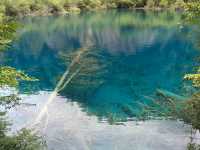 Solo Traveller Transportation Guide for JiuZhaiGou from Chengdu!