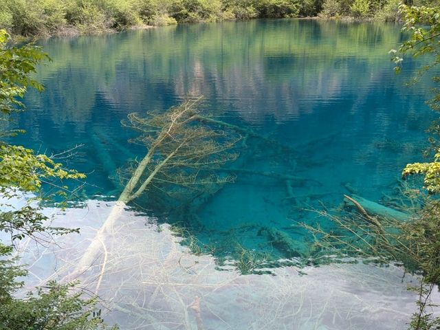 Solo Traveller Transportation Guide for JiuZhaiGou from Chengdu!