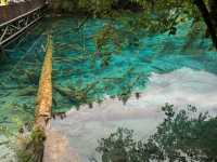 Solo Traveller Transportation Guide for JiuZhaiGou from Chengdu!