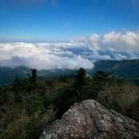 Jirisan Summit Was a Beast (But Worth It)