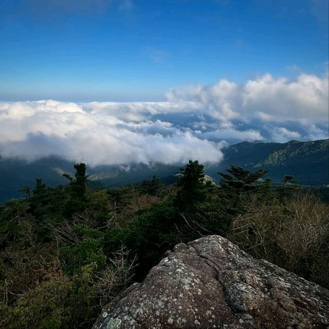 Jirisan Summit Was a Beast (But Worth It)