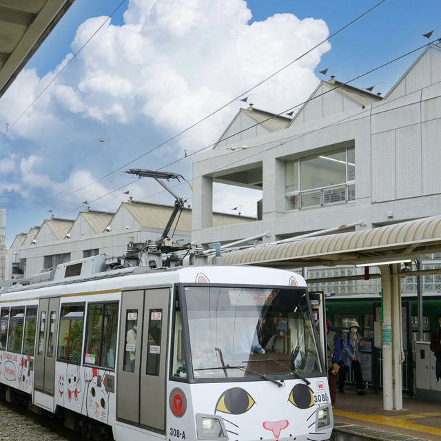 Tokyo's Hidden Gem: The Adorable "Cat Street" I'd Visit Countless Times! 😻🐾