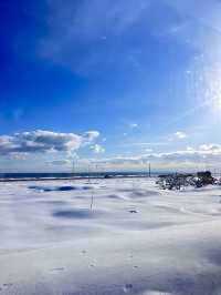 เที่ยวโอซาก้ากันเถอะ🇯🇵❄️