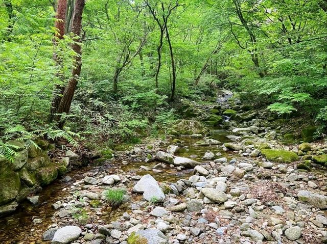 Geumsansa + Moaksan, Hike a Little, Zen a Lot