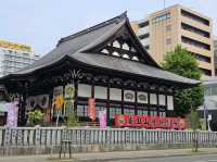 「北海道~札幌」市內剪映！在風和日麗的六月。