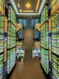 Guangdong Museum of Traditional Chinese Medicine – A Calm Dive into Ancient Wisdom