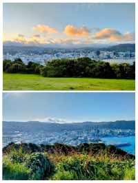 ニュージーランド🇳🇿の首都ウエリントン
