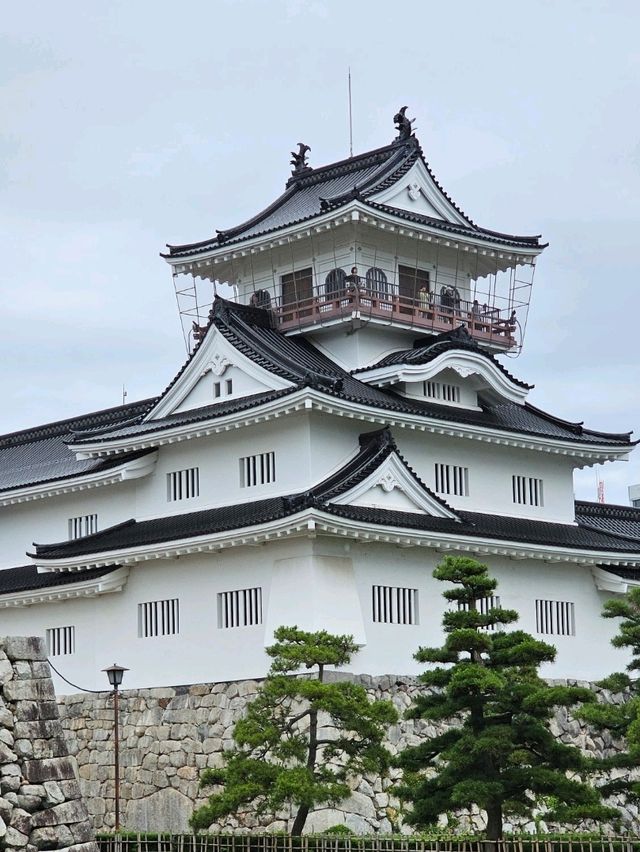 🏯 富山城——歷史與現代交會的城堡