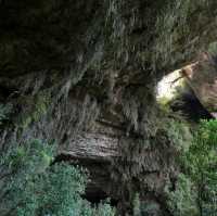 Karamea & Oparara Basin