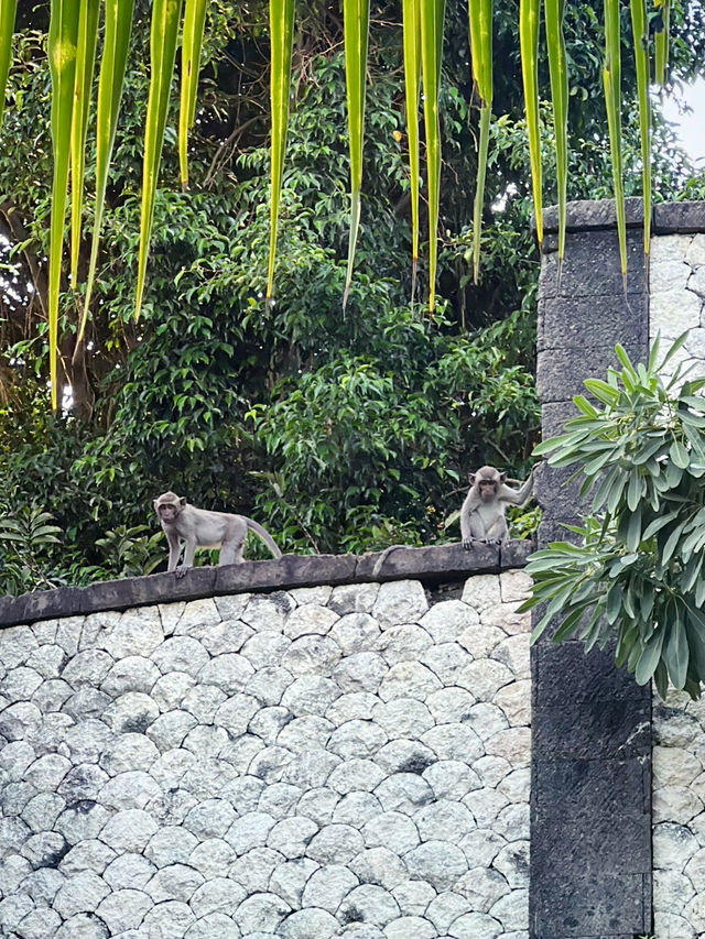 🇮🇩The Edge Bali – A Dream Stay at The Breeze 🌊🌿 