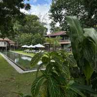 Temple Tree Resort