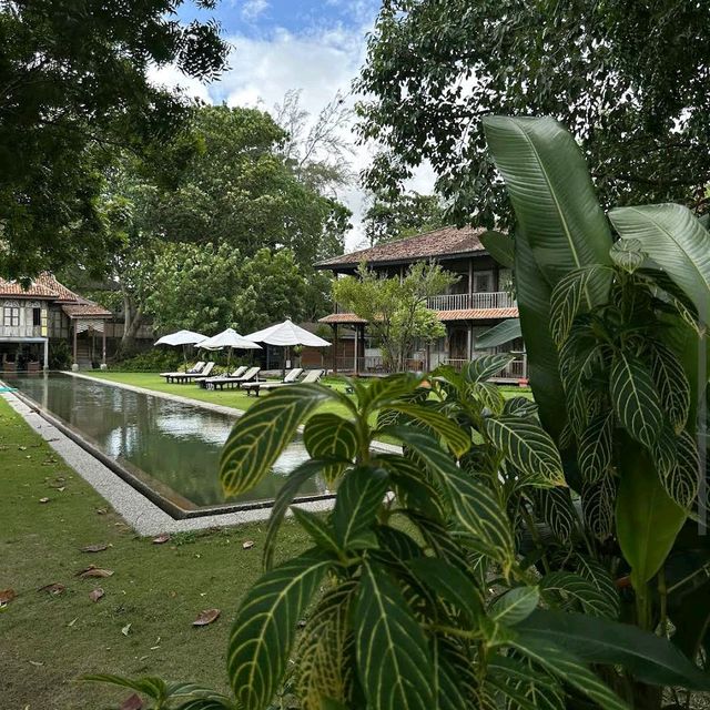 Temple Tree Resort