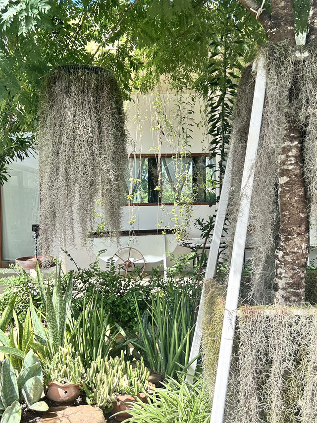 คาเฟ่ Hygge Backyard มวกเหล็ก สระบุรี 🌿📸