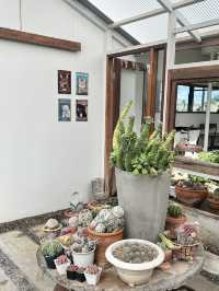 คาเฟ่ Hygge Backyard มวกเหล็ก สระบุรี 🌿📸