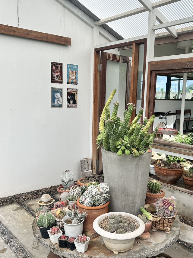 คาเฟ่ Hygge Backyard มวกเหล็ก สระบุรี 🌿📸