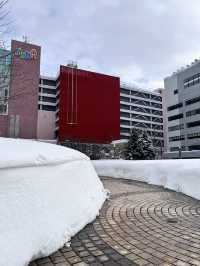 ❄️《走進雪的國度：青森，降雪量驚人的冬日魔法》⛄