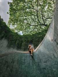 🍀Spiral staircase with the tree view 📍Fort Canning Park 🌳
