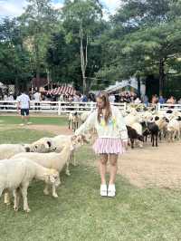 ชมโชว์สัตว์ที่ the scenery vintage farm ราชบุรี