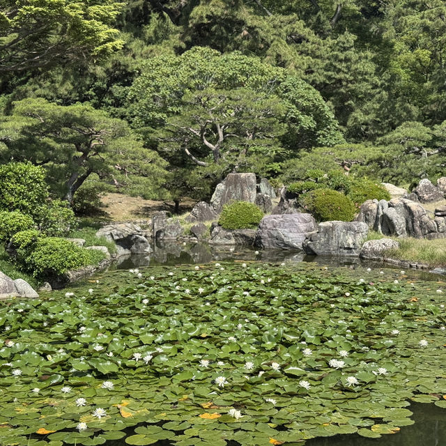 일본 다카마쓰 여행 리쓰린공원