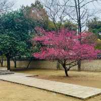 慶基殿 (경기전)