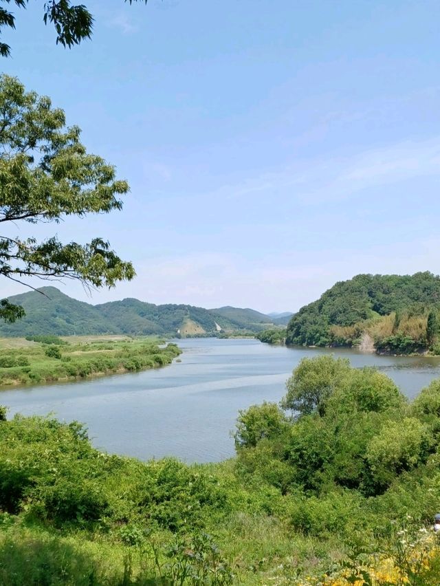 꽃나들이 명소