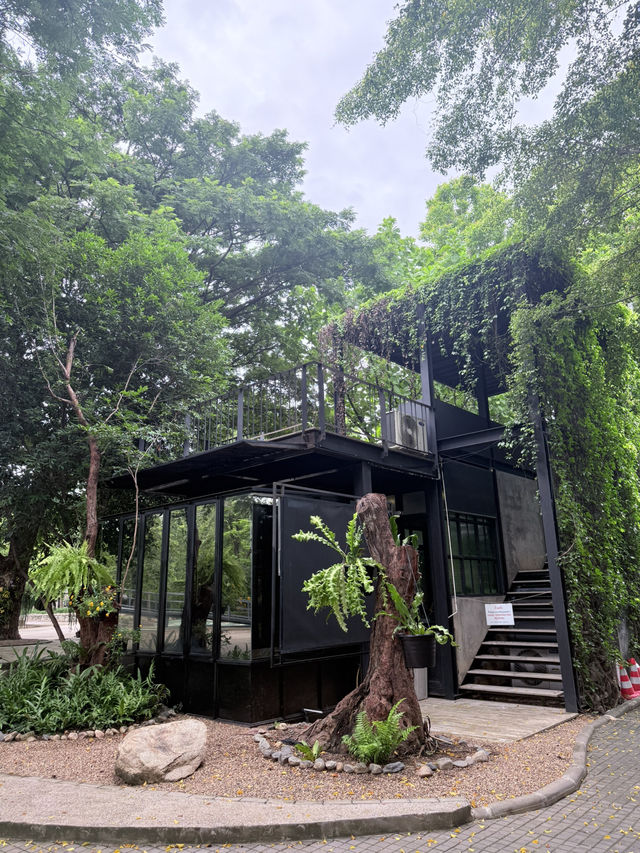 📍VP Coffee คาเฟ่ลับในสวนสาธารณะกลางเมือง