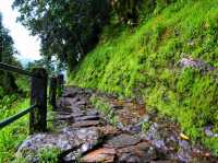 The Annapurna Circuit is one of Nepal's most famous trekking routes