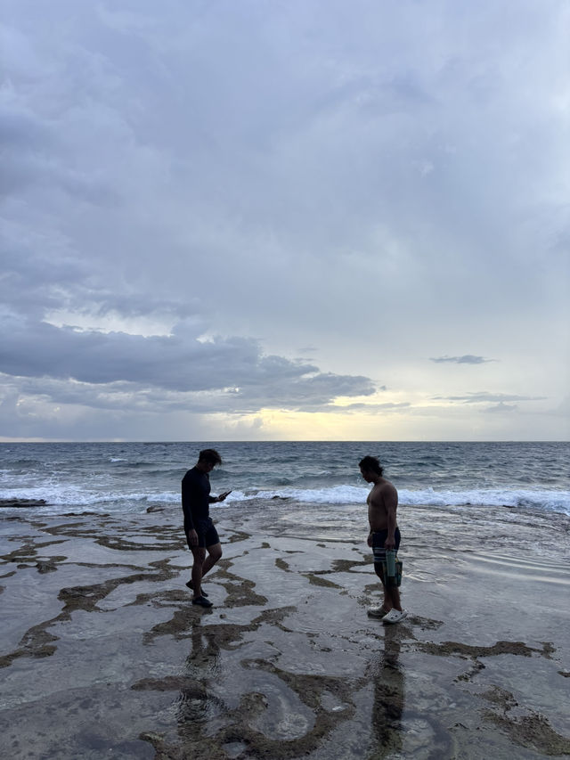 🏖️ 美人沙灘奇遇記：與海龜共舞的秘境之旅