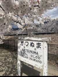 🍇ぶどうの楽園へ！勝沼ぶどう郷で味わう贅沢なひととき🍷